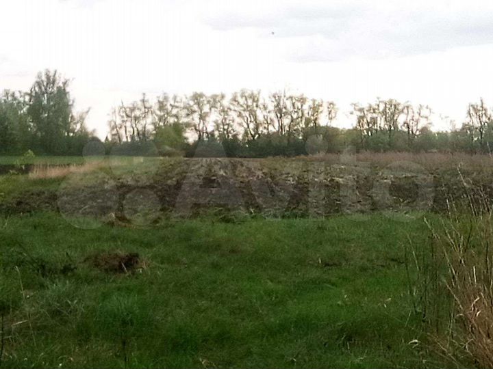 Дом 29,5 м² на участке 5 сот.