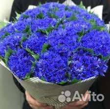 Васильки