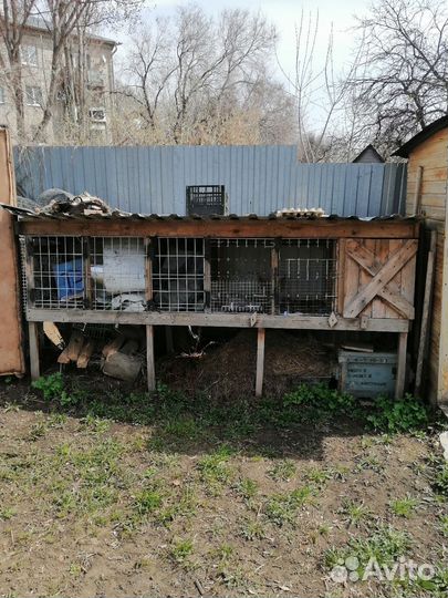 Крольчатник