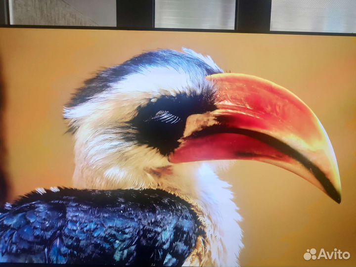 Телевизор xiaomi mi tv 5 pro 55