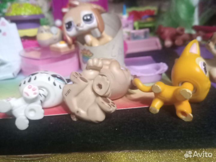 Littlest Pet Shop