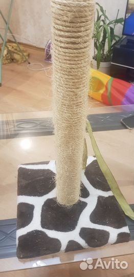 Когтеточка для кошек