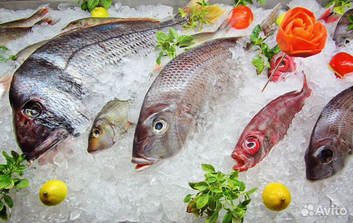 Готовый бизнес: рыба и морепродукты