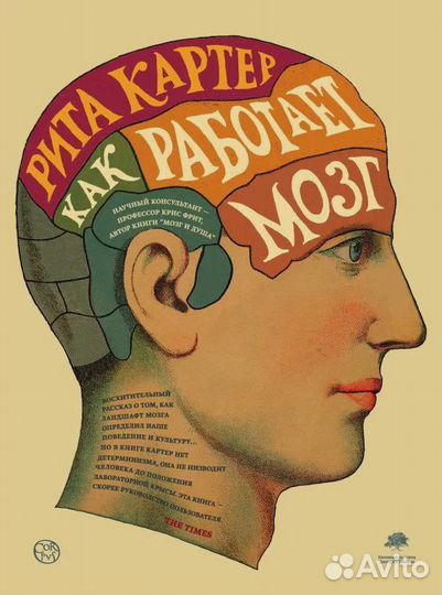 Как работает мозг Картер Рита