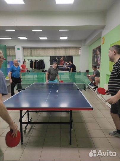 Настольный теннис на Калинина