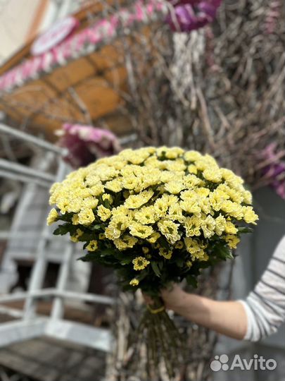 Цветы розы и букеты с доставкой