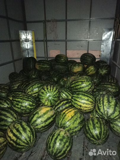 Арбуз оптом