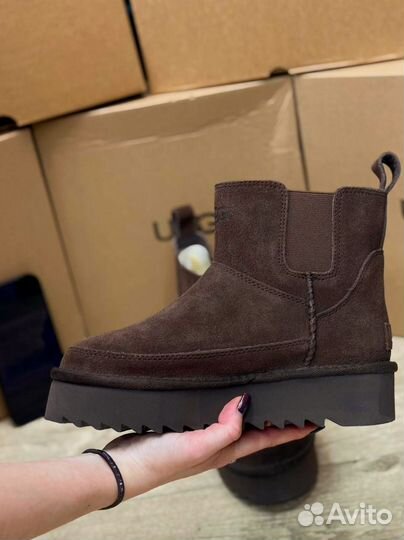 Челси UGG шоколадные оригинал