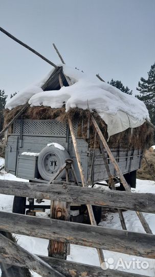 Продажа сена