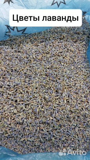 Лаванда душица зверобой череда солодка эвкалипт
