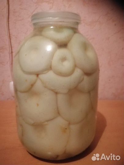 Грузди