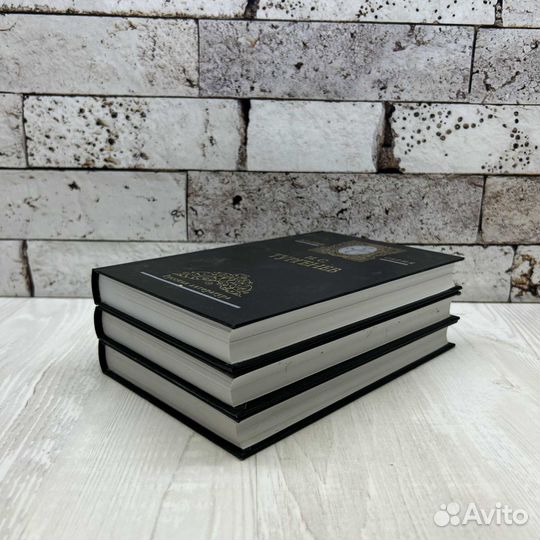 Тургенев Избранные сочинения в 3 томах 2003г