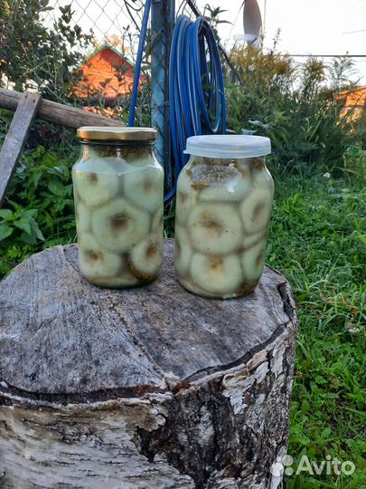 Грибы грузди соленые