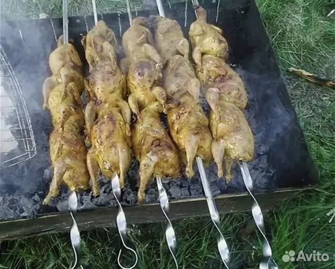 Шашлык из перепелок