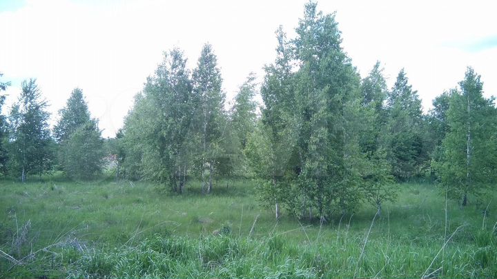 Участок 10 сот. (ИЖС)