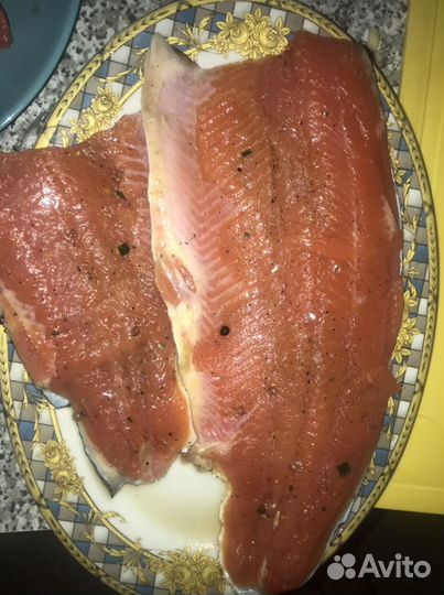 Живая форель