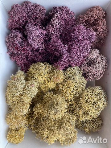 Натуральный пищевой декор из ягеля