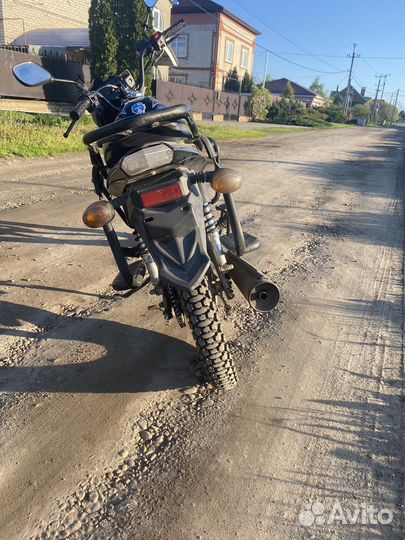 Alpha rs 12