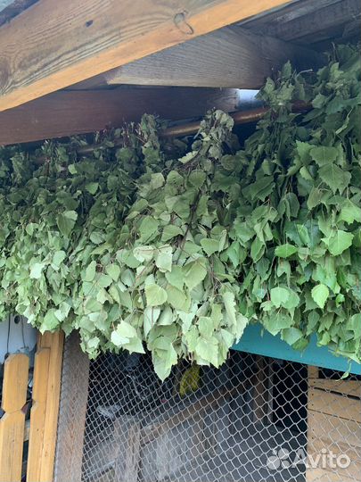 Веники для бани