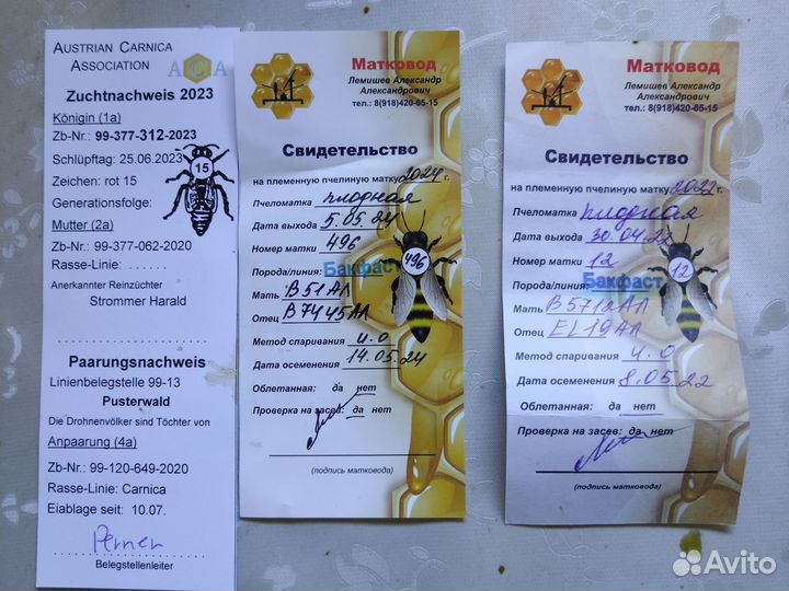 Пчеламатки