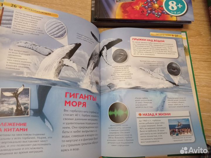 Детская энциклопедия про животных