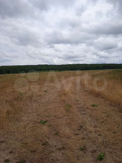 Участок 15,6 га (СНТ, ДНП)