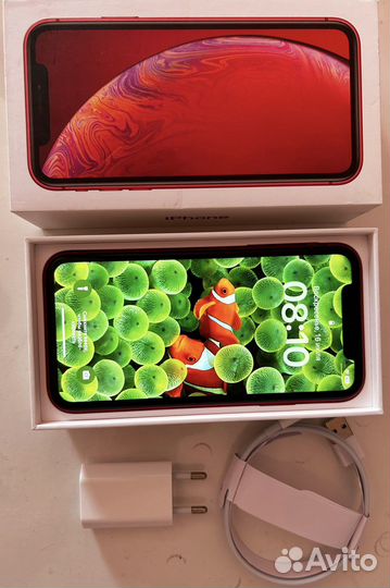 Apple iPhone xr 64gb red