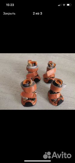 Обувь для маленьких собак