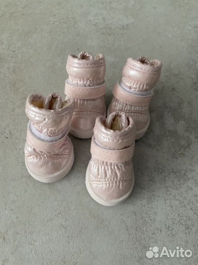 Ботинки для собаки