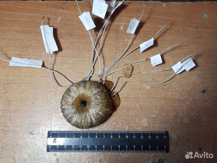 Трансформатор тор