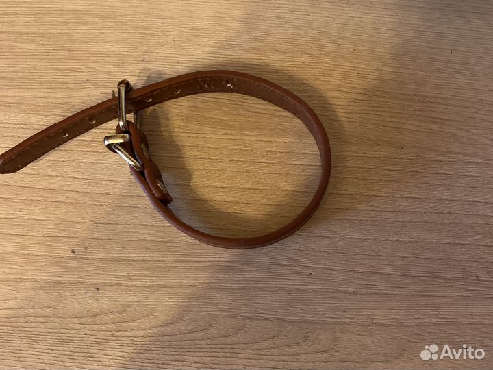 Товары для собак и кошек