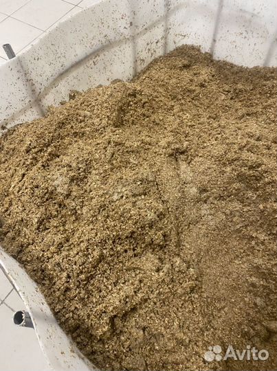 Пивная дробина