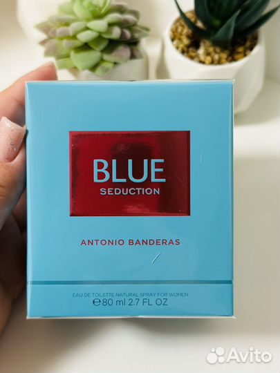 Antonio banderas Queen of Seduction