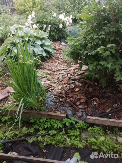 Кора мульча в мешках