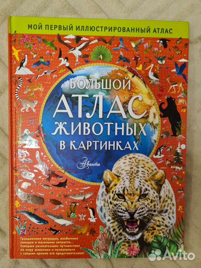 Детские книги новые
