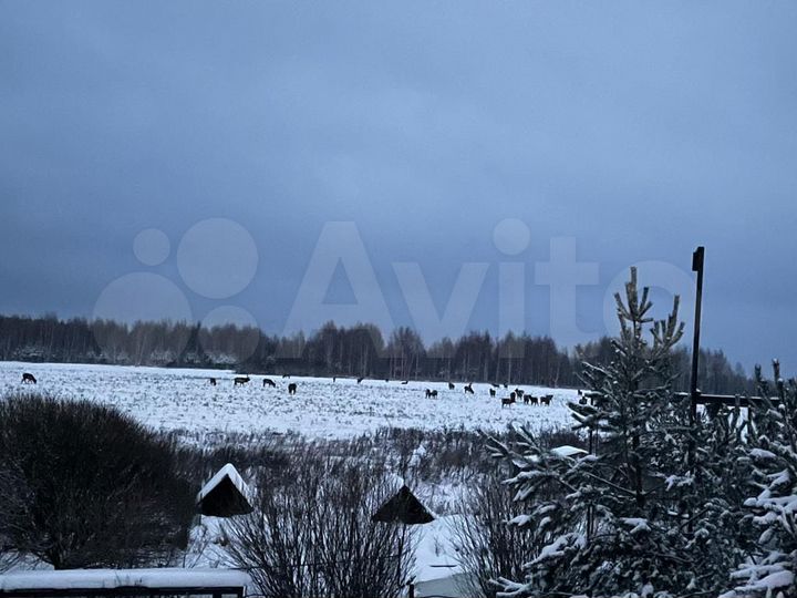 Дом 120 м² на участке 1,5 га