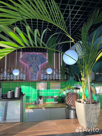 Прибыльный бизнес Bali Coffee доход от 200 тысяч