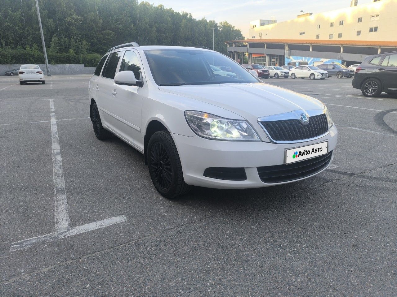 Skoda Octavia: фото владельца