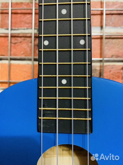 Укулеле Концерт