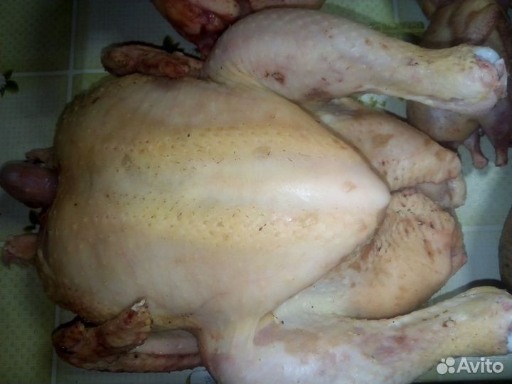 Мясо домашней птицы
