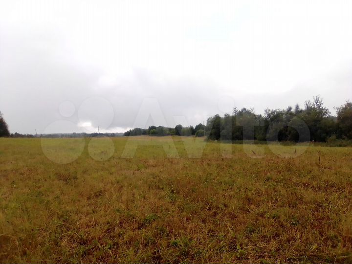 Участок 3,6 га (СНТ, ДНП)