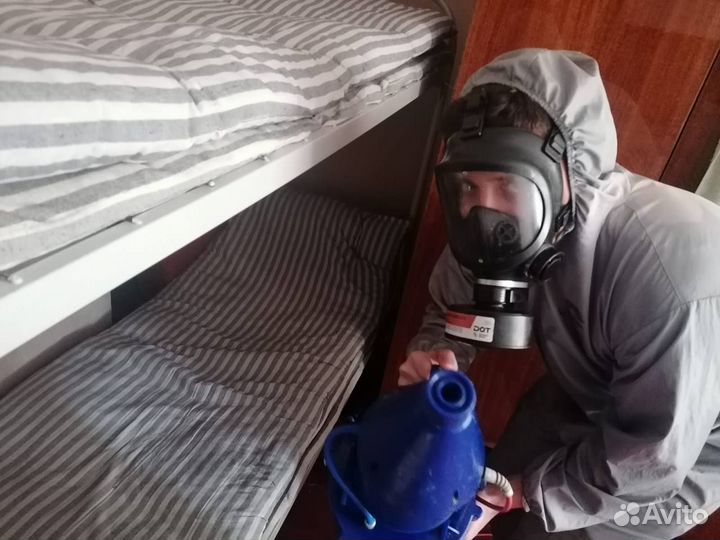 Дезинфекция. Уничтожение тараканов, клопов, клещей