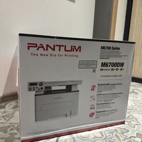 Мфу лазерное Pantum M6700DW