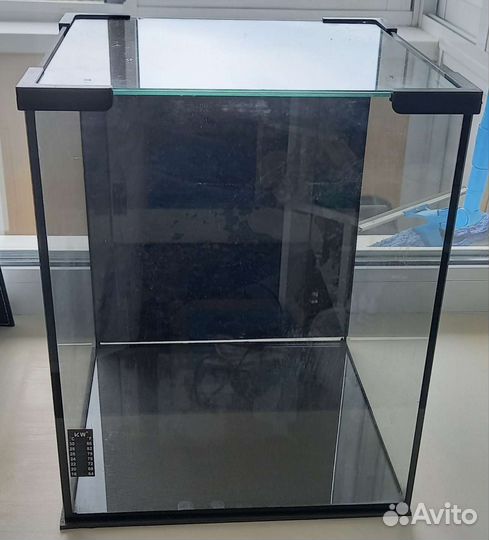 Ракушки, галька, кораллы