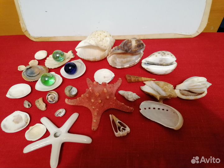 Ракушки, декоративные камушки