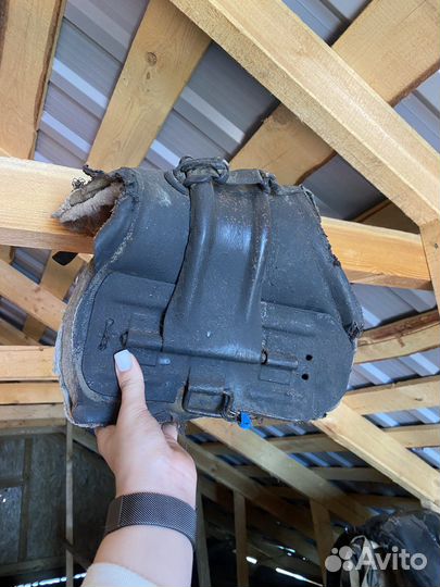 Сбруя для лошади