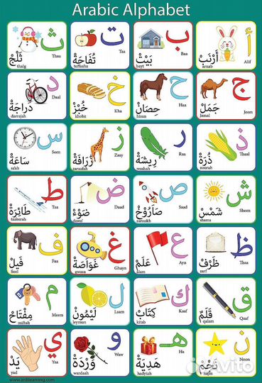 Репетитор по арабскому языку