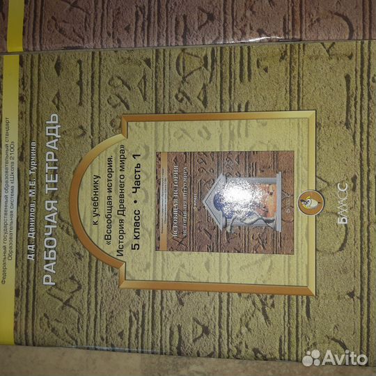 Рабочая тетрадь к истории 5 Данилов, Турчина