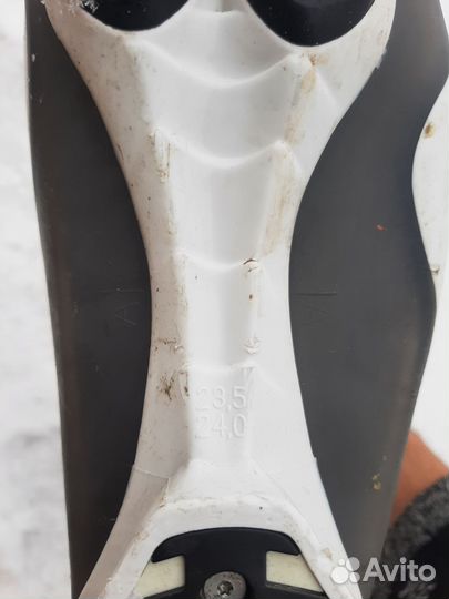 Горные лыжи