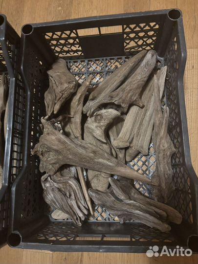 Коряги, камни, шишки еловые и сосновые